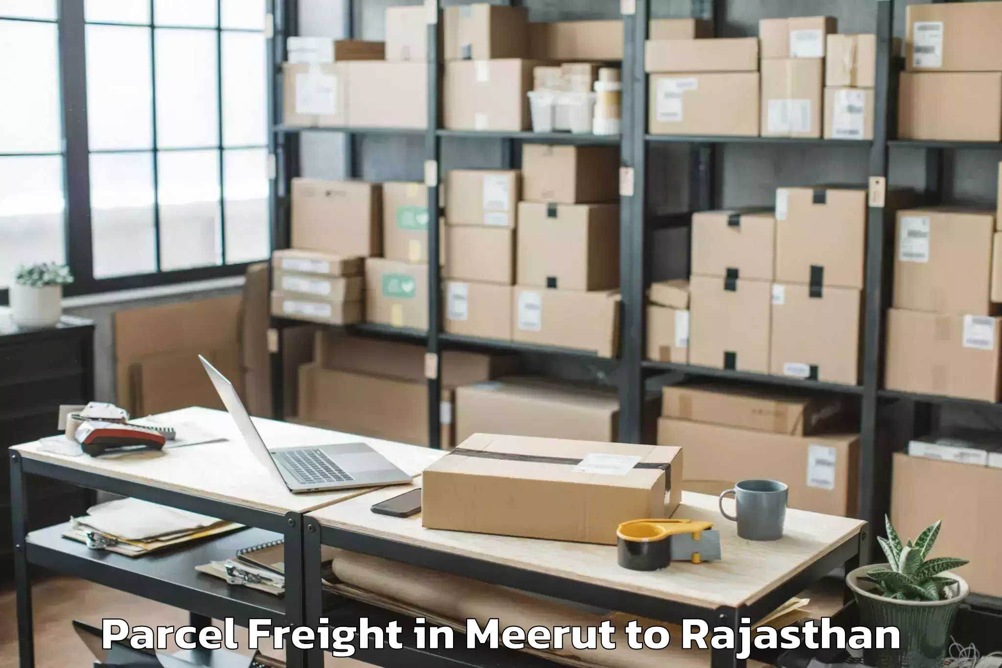 Hassle-Free Meerut to Swami Keshwanand Rajasthan Agr Parcel Freight